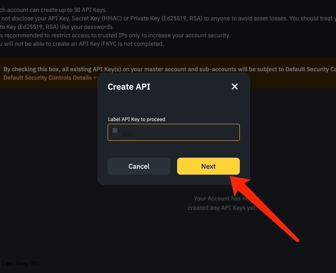 Fill in API Name Information